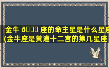 金牛 🐈 座的命主星是什么星座(金牛座是黄道十二宫的第几星座)